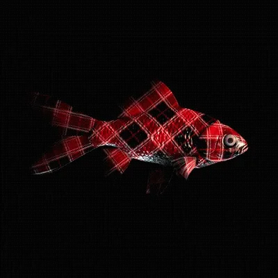 CryptoFish #4193