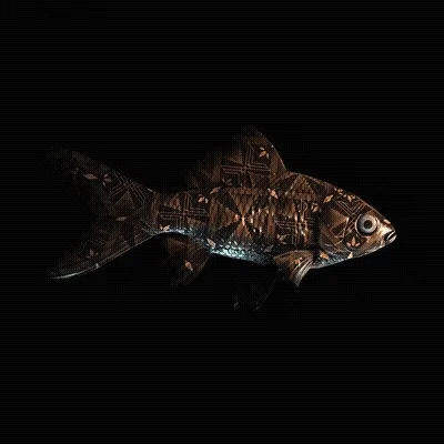 CryptoFish #10