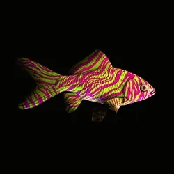 CryptoFish #4357