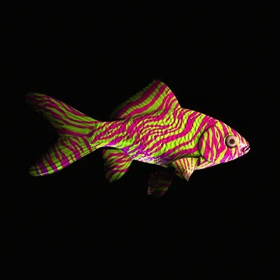 CryptoFish #4357