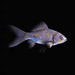 CryptoFish #3467