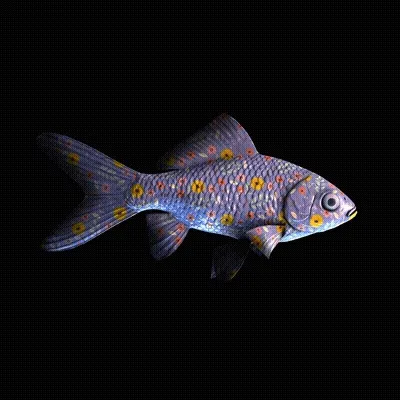 CryptoFish #3467