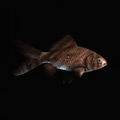 CryptoFish #4540