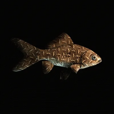 CryptoFish #3716