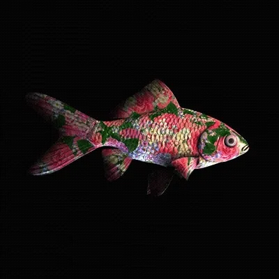 CryptoFish #3529