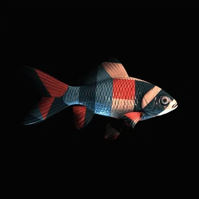 CryptoFish #4112
