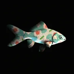 CryptoFish #3587