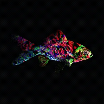 CryptoFish #14