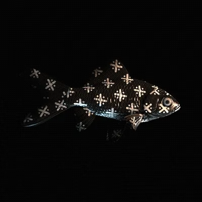 CryptoFish #4806
