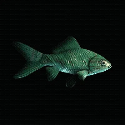 CryptoFish #4372