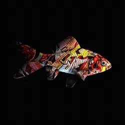 CryptoFish #5552