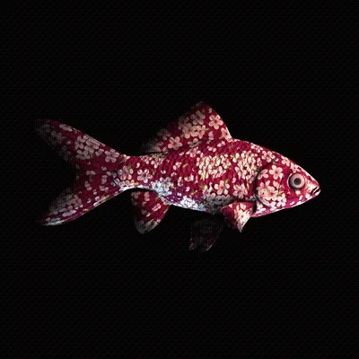 CryptoFish #4048