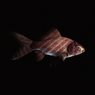 CryptoFish #3639