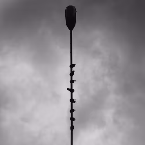 Black Serenity