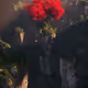Fôret Rouge