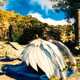 Garden of Eden - Evolution