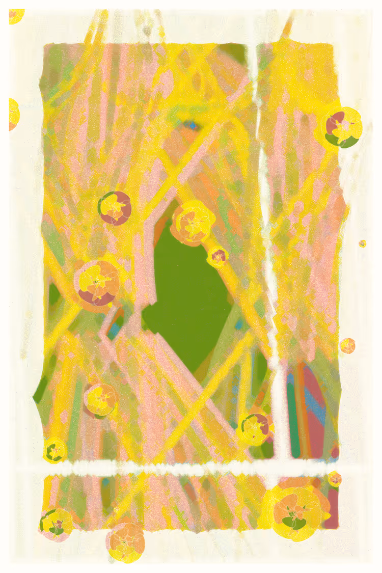 SKY MEADOW #543