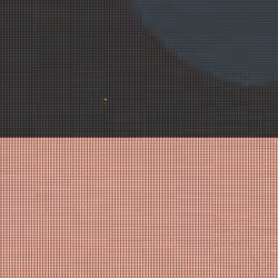 251
