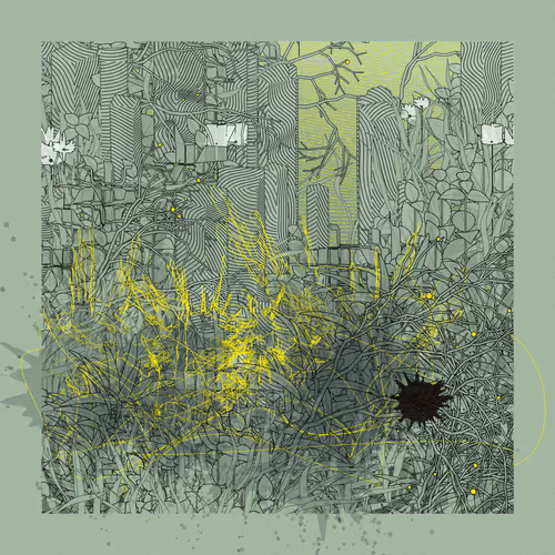 Item #805423774 Media