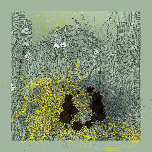 Item #255249214 Media