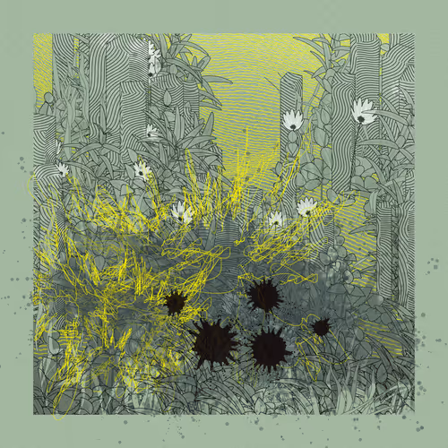 Item #2363654790 Media