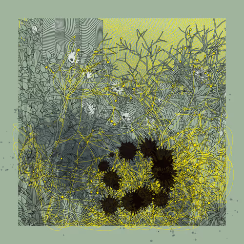 Item #3729162603 Media