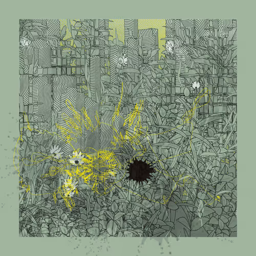 Item #1643374425 Media