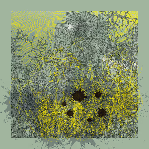 Item #1159369238 Media