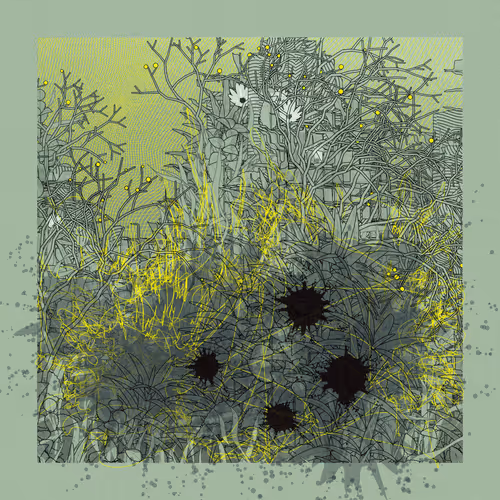 Item #3043562728 Media