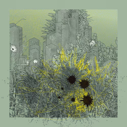 Item #207616863 Media