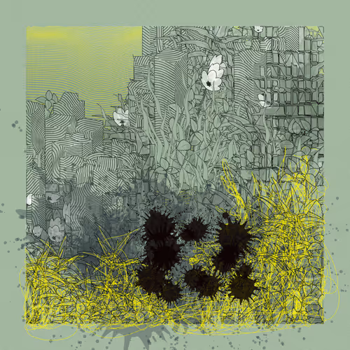 Item #1714146172 Media