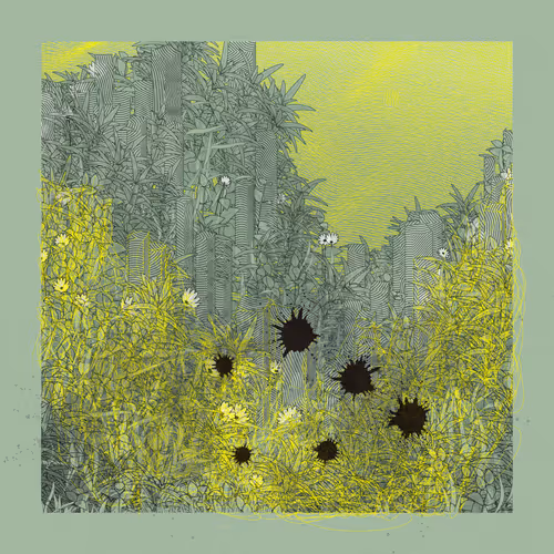 Item #3415650886 Media