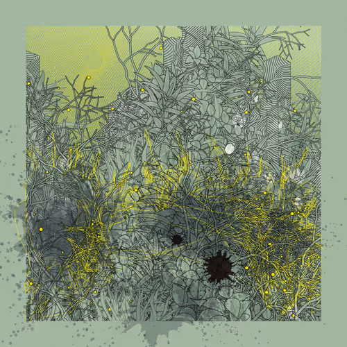 Item #3419934859 Media