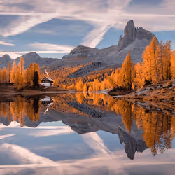 アイテム メディア プレースホルダー