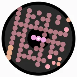 Item #17750625027 Media