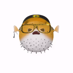 51