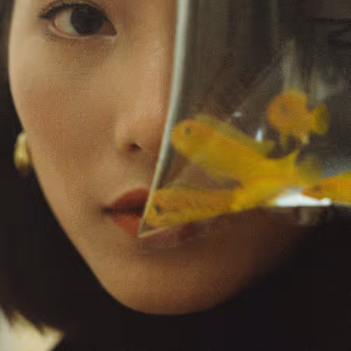 No Boundaries Montage Open