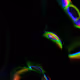 DIGITAL LIFE FORM xDALL·E.1st iteration