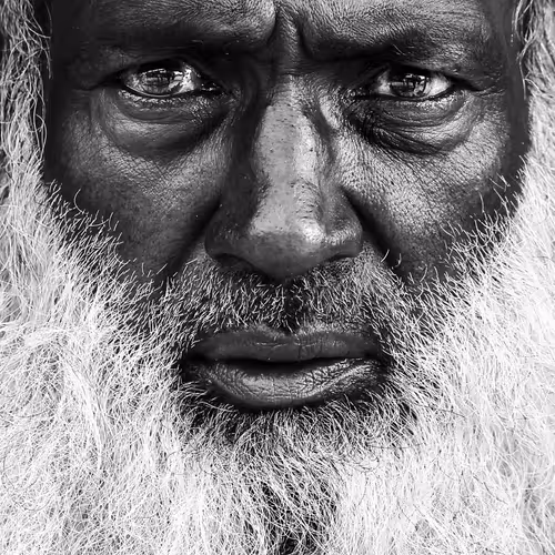 Soulful Gaze