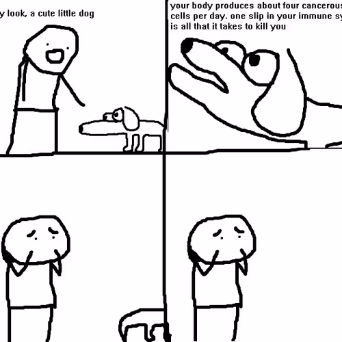 Cute Little Dog