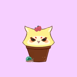 Cupcat 72