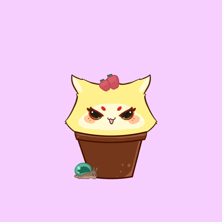 Cupcat 72