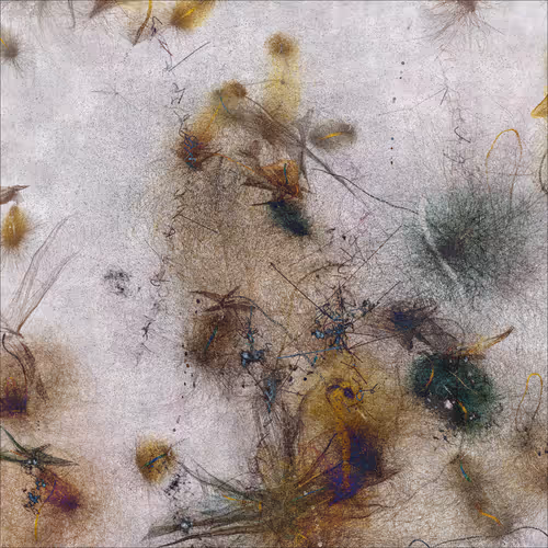 Item #789485336 Media