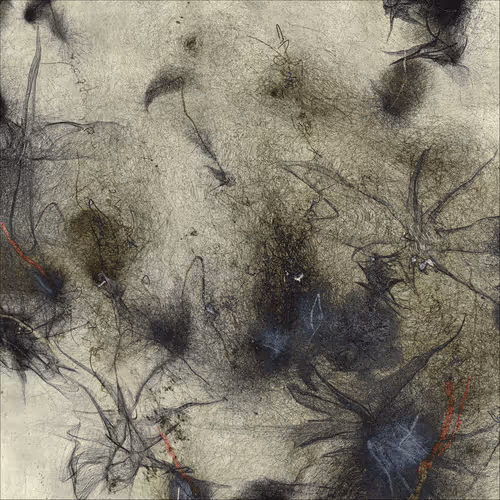 Item #1051554914 Media