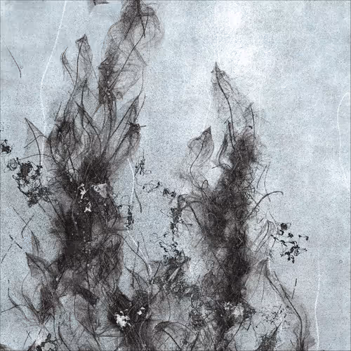 Item #3852380566 Media