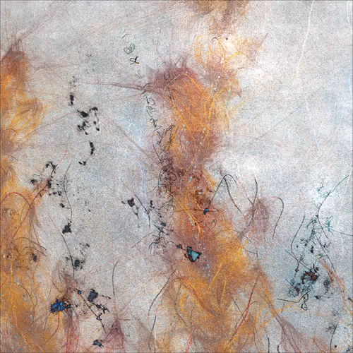 Item #3165856280 Media