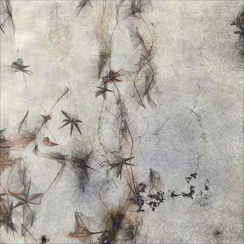 Item #1892314687 Media