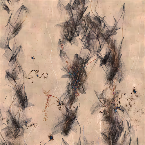 Item #1464630665 Media