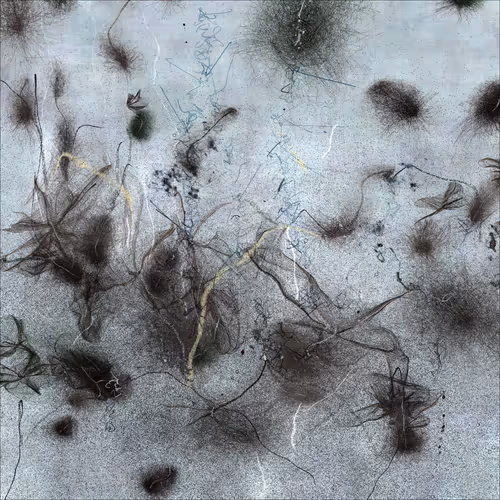 Item #4150636888 Media