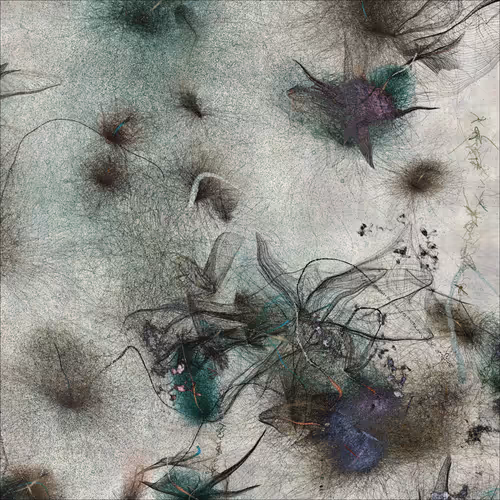 Item #3788800588 Media